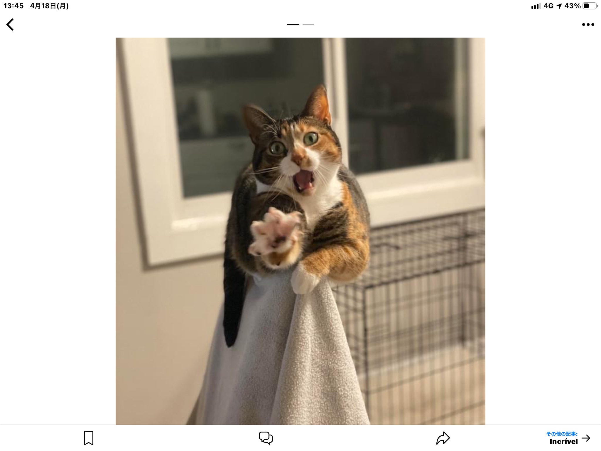 1ba1bc4c-16c6-4f85-a148-94d654267f40