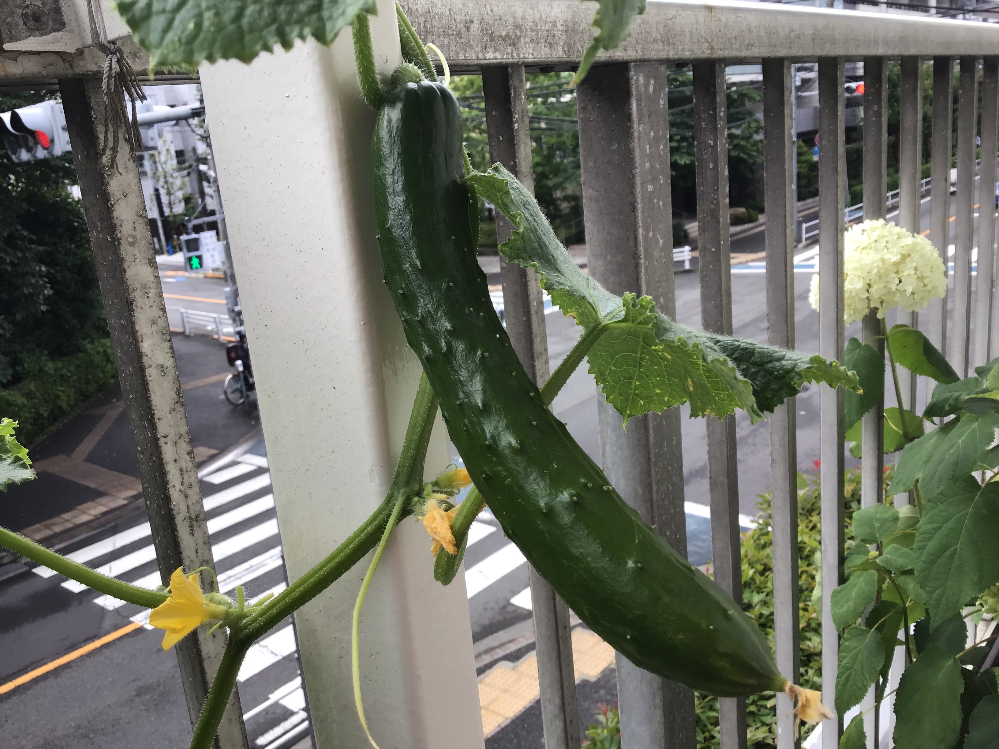 796d9e26-55d0-4910-93be-61964e52d5f2