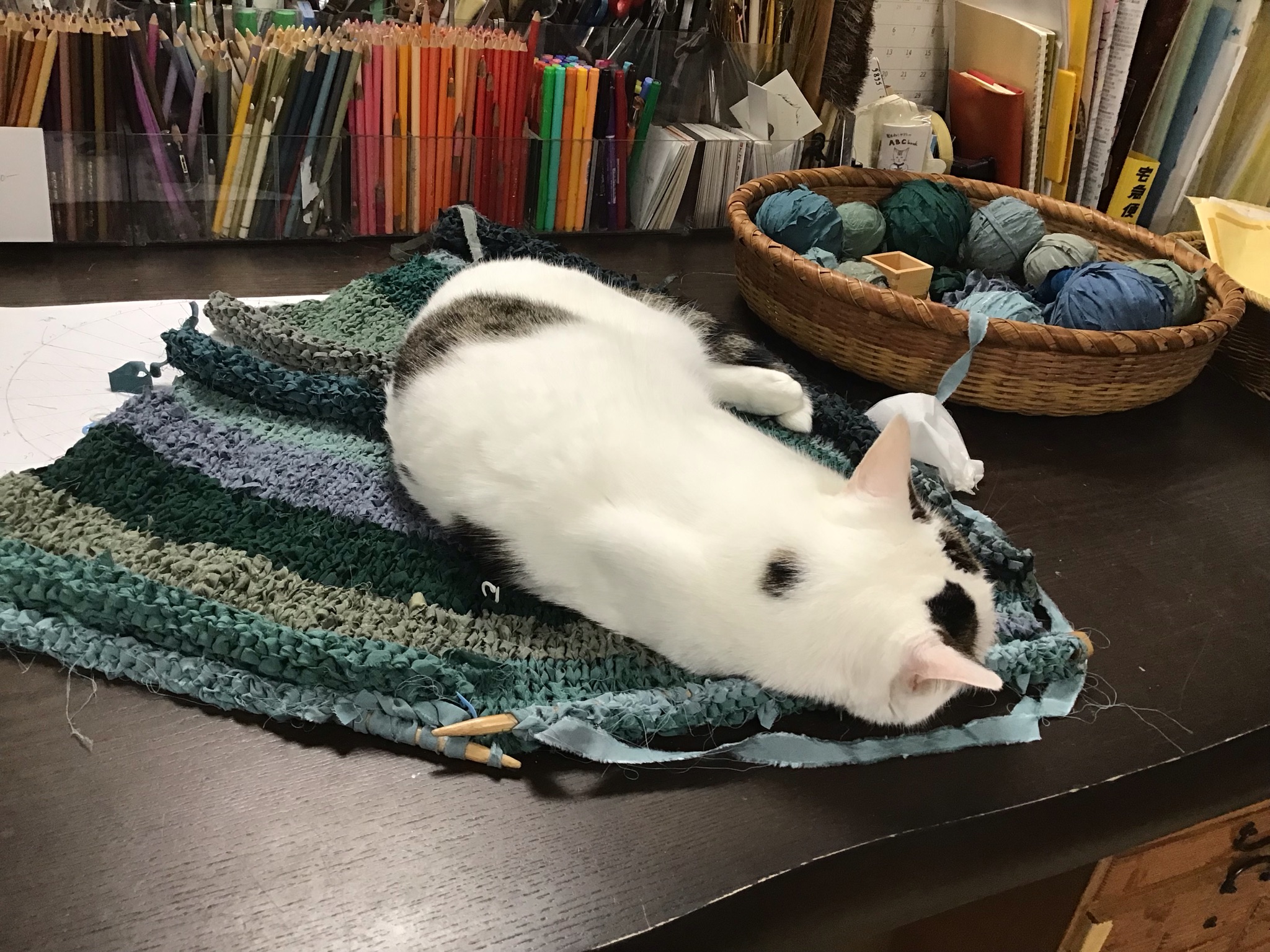 4d582a73-b04e-45d1-8187-7a3a37e4111d