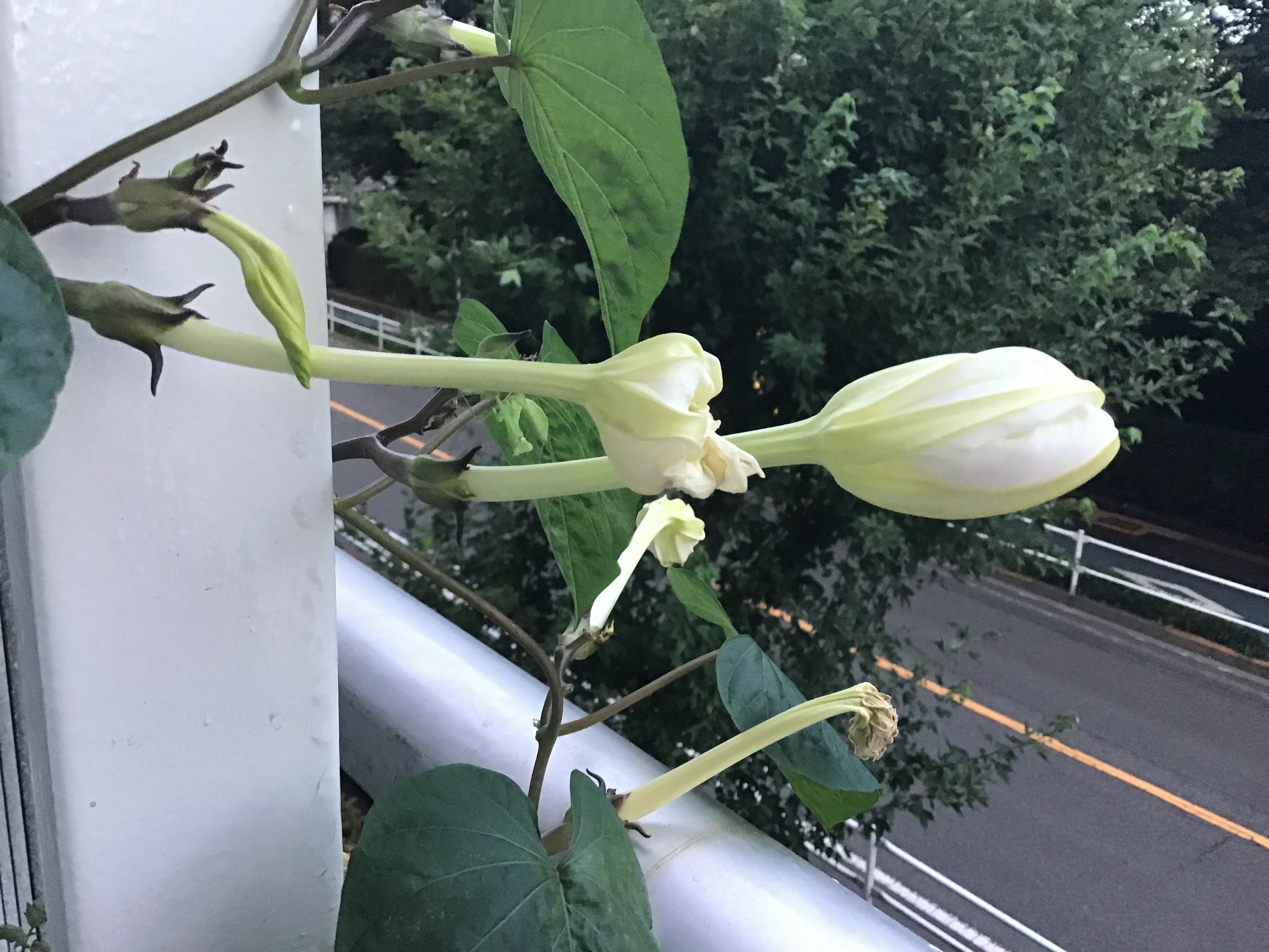 8701c1c9-7edb-4d0b-8c02-af62b3601716