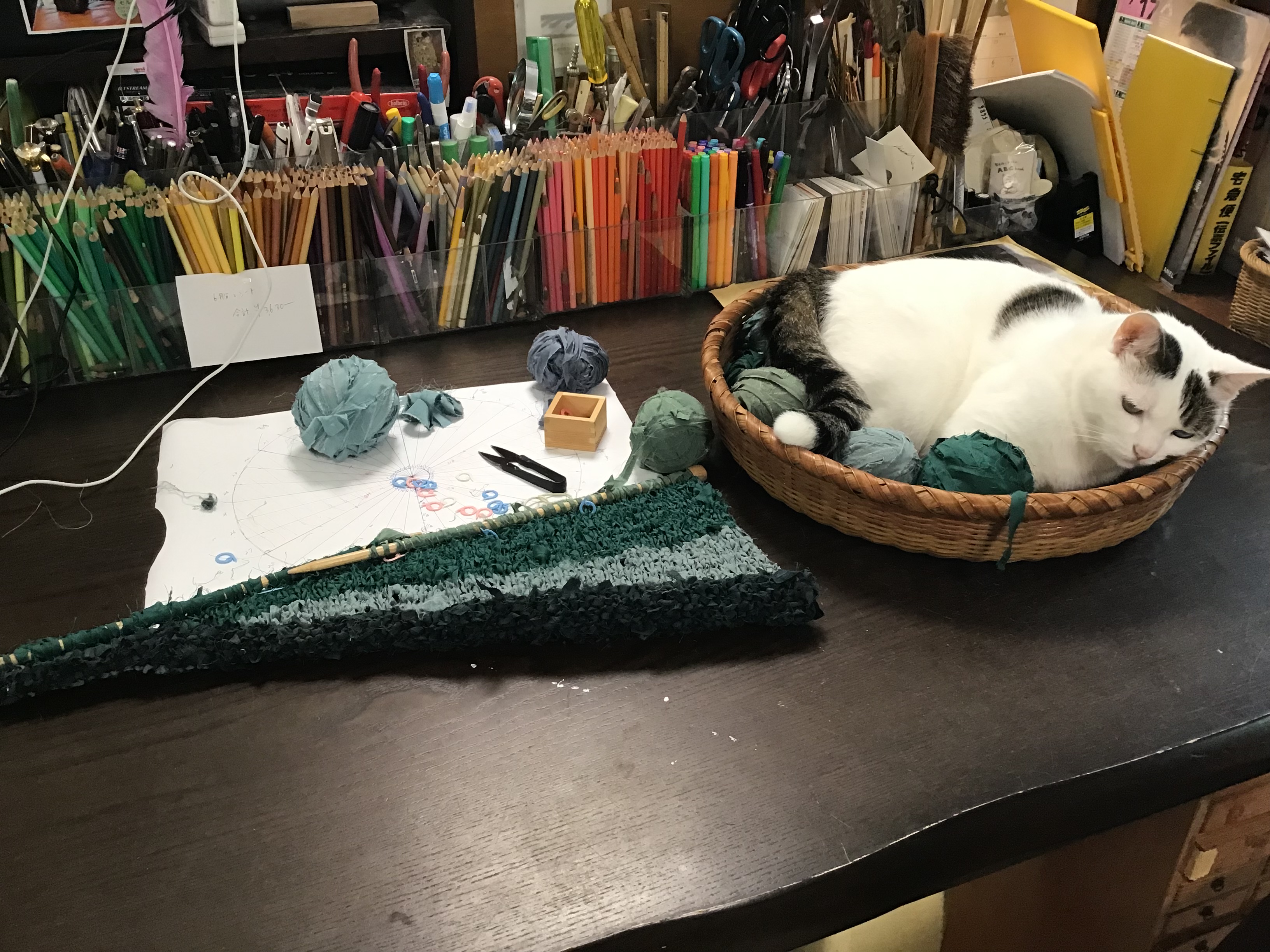 f4a82667-02e3-48bb-b9f0-daec4ef40953