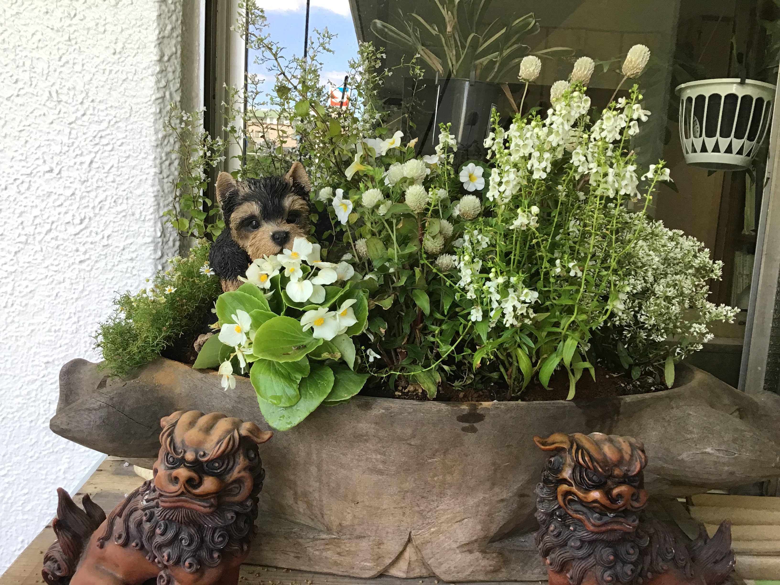 d7c56936-0bd6-45e6-b3b9-90672a20f2bd