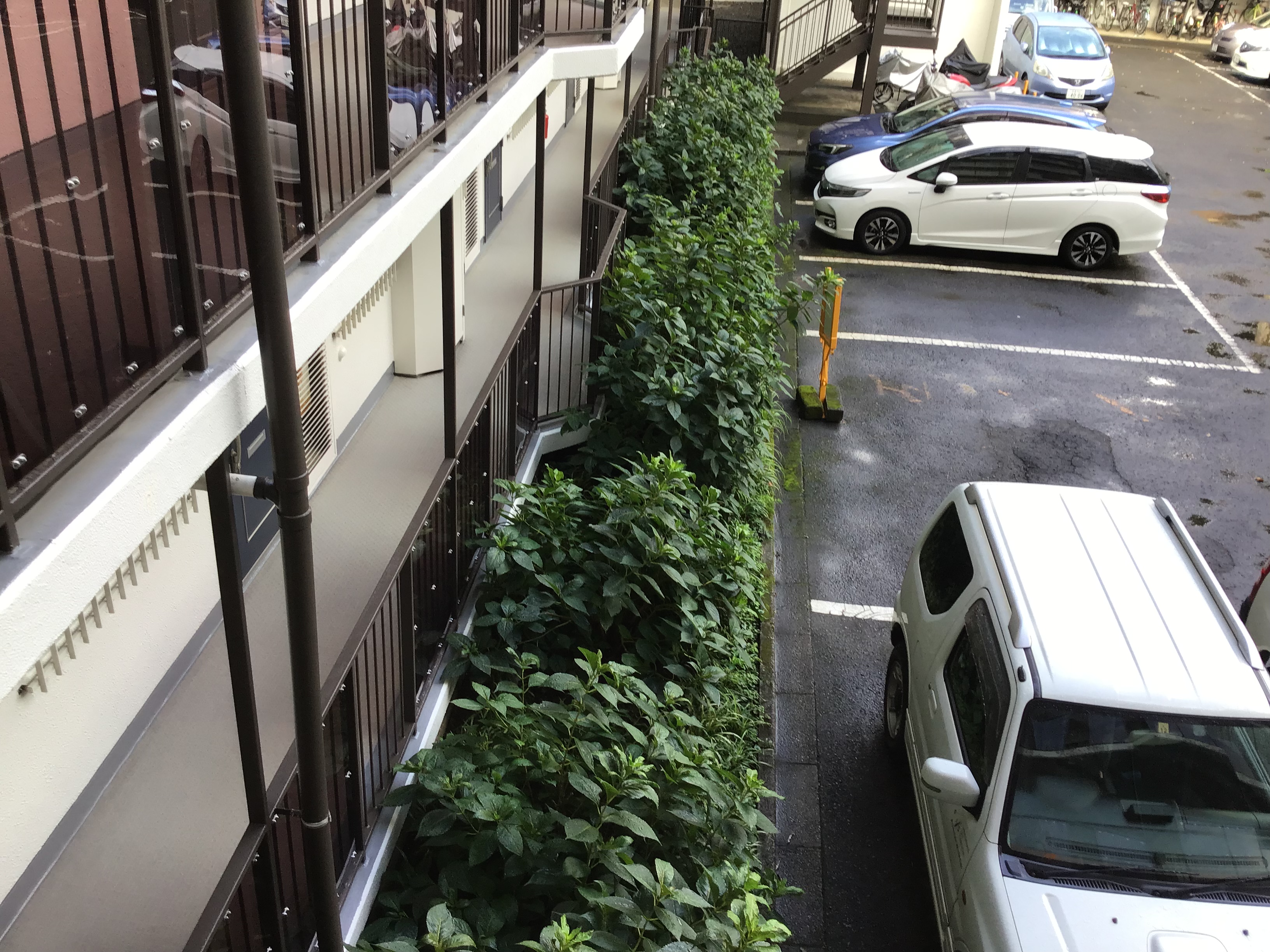 a22aa594-659e-4fc1-965f-66c069c1c85a