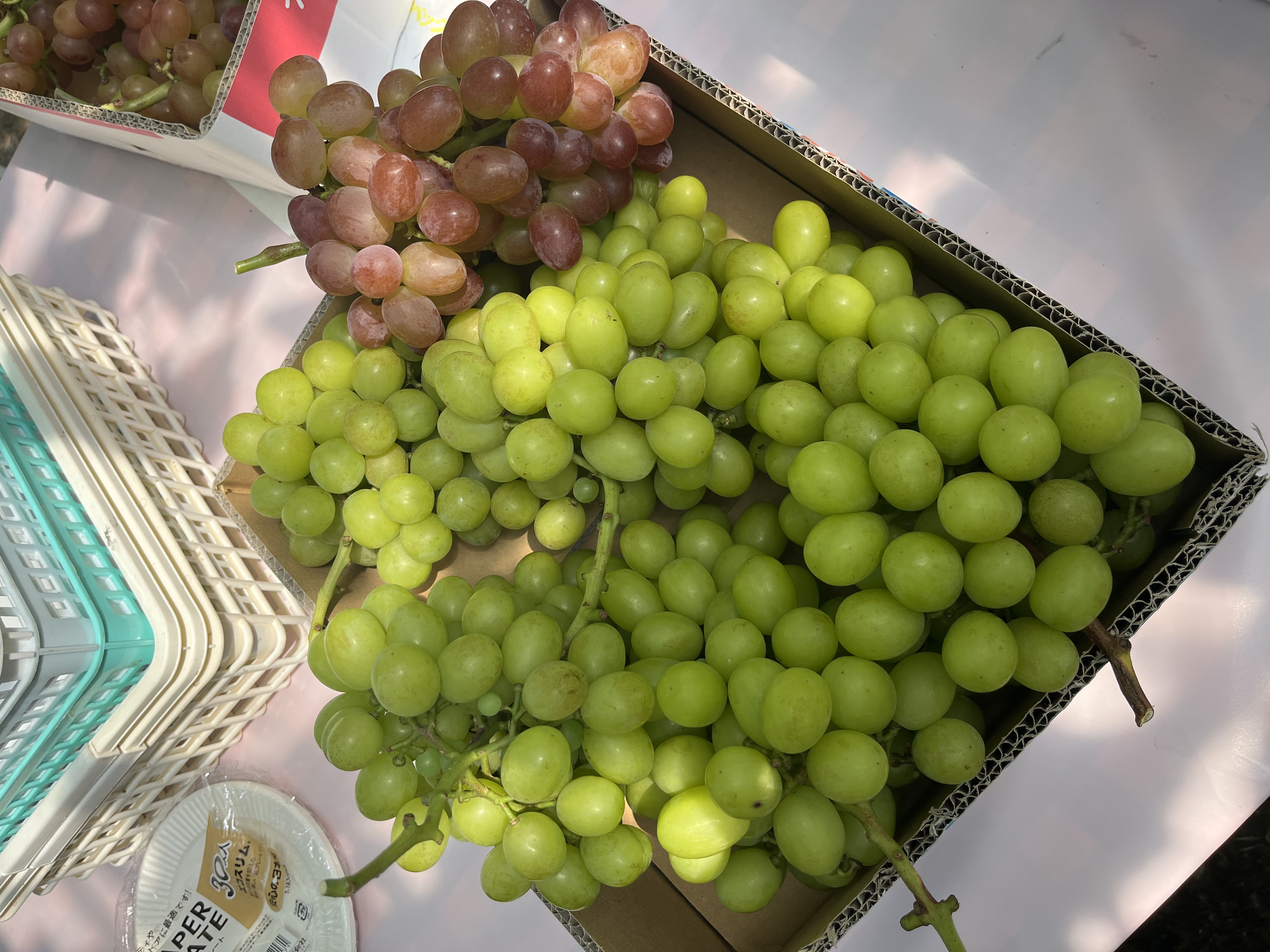 c8ee86e8-67d7-48d6-972d-ee74c14a0b79