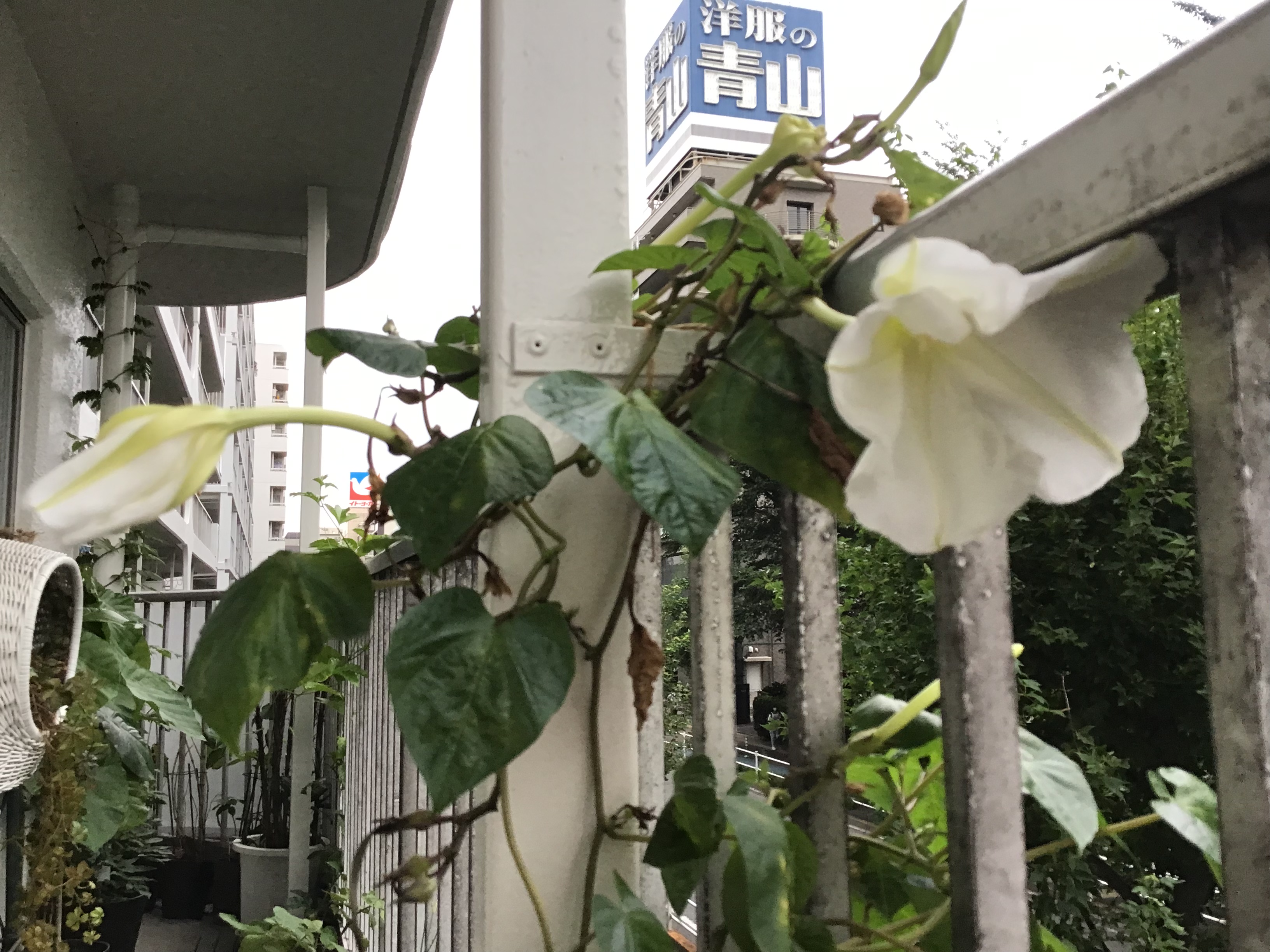 e149e1f9-f374-4f3b-8b64-8ca294ef69da