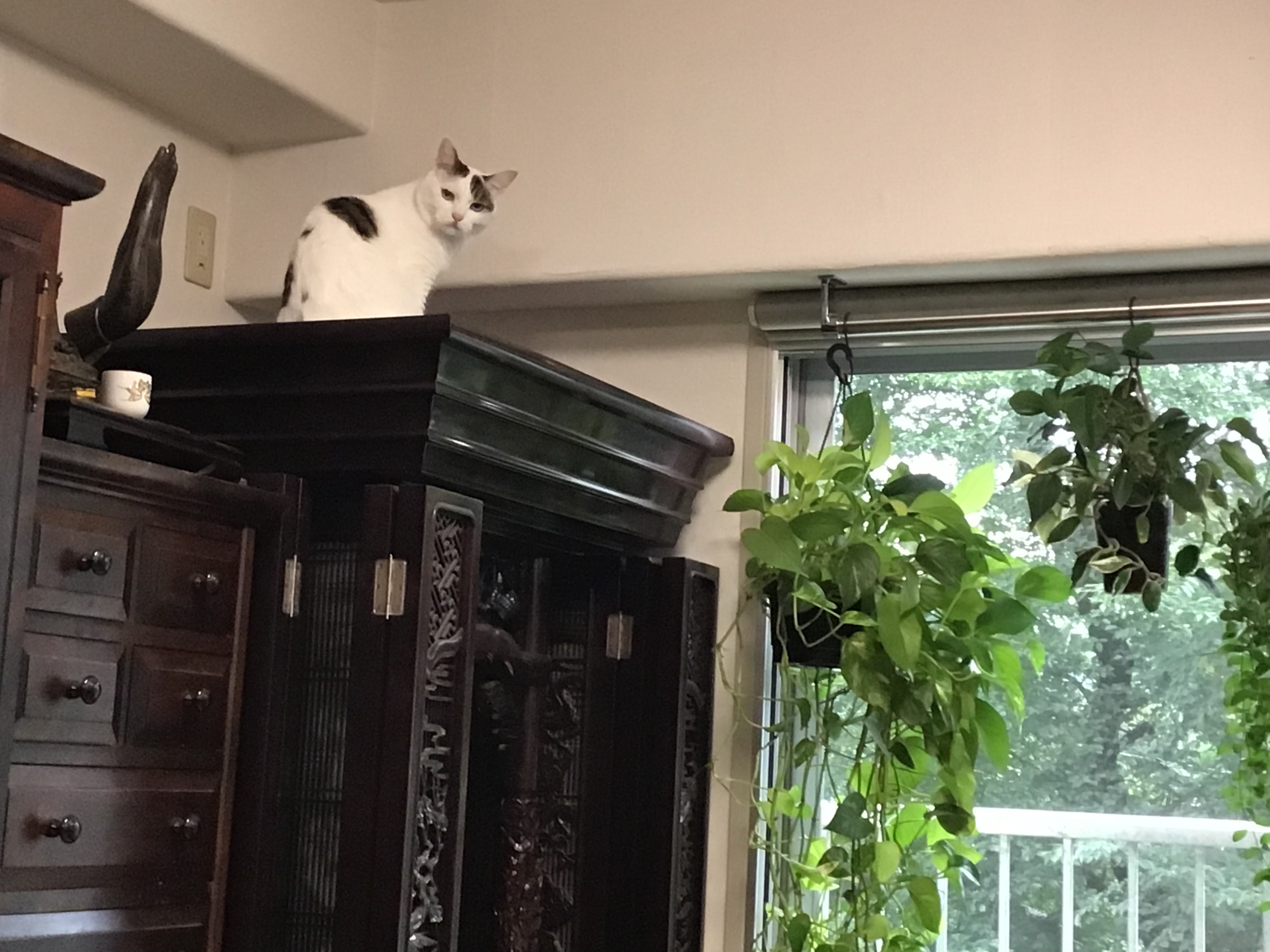 e67fec81-3a53-4189-b6ce-d6c6b56315ee