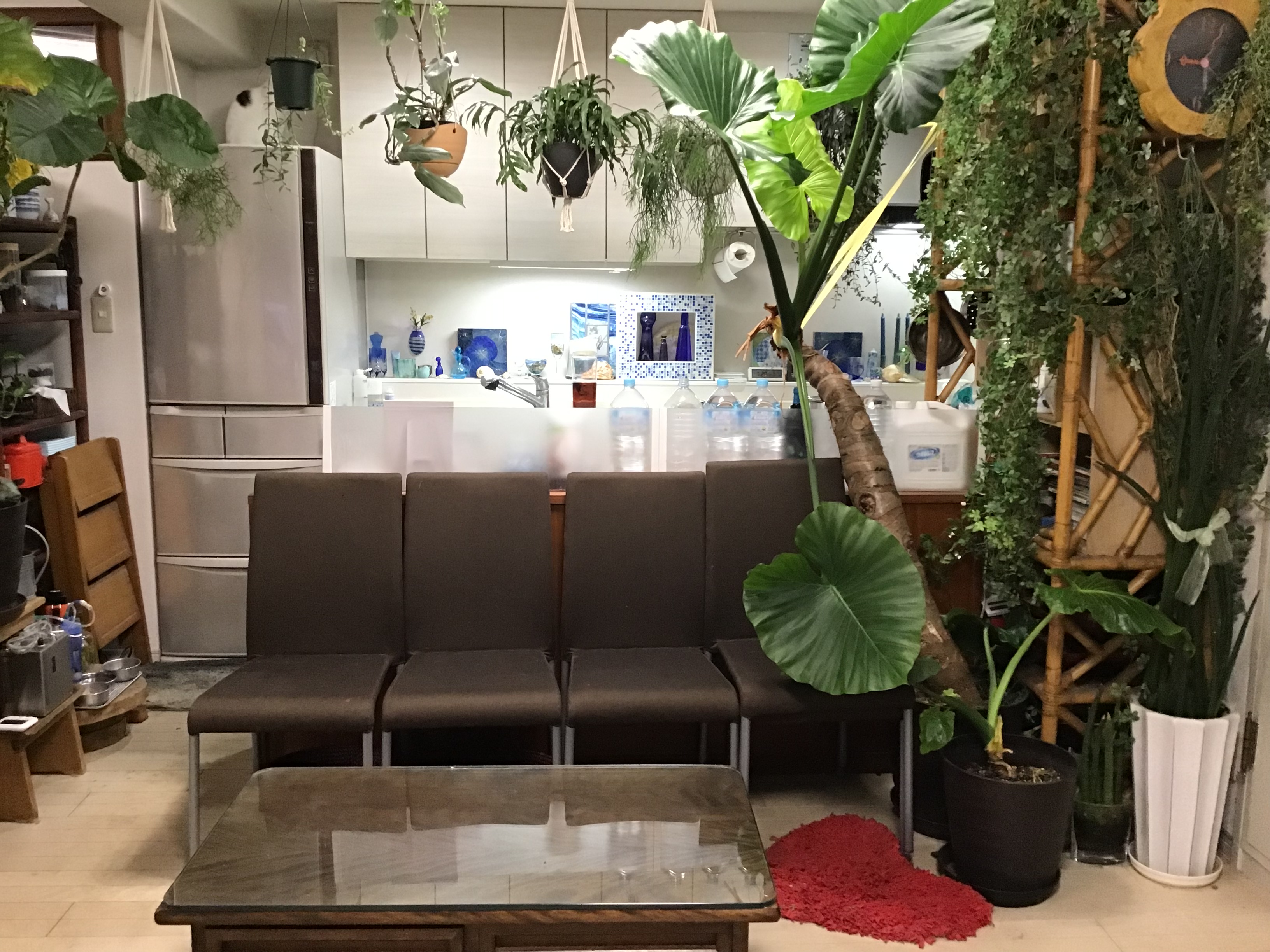 e2a97309-a88e-45ef-b300-94f75a7e7c3c