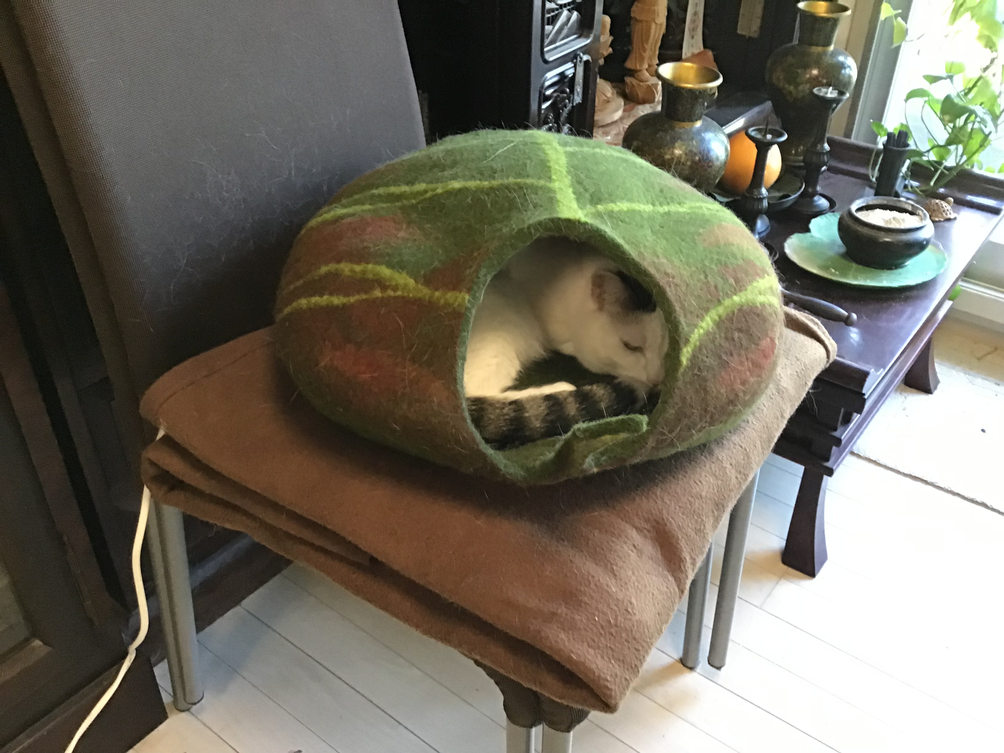 94955888-50ac-439b-82be-02b6da51ab1c