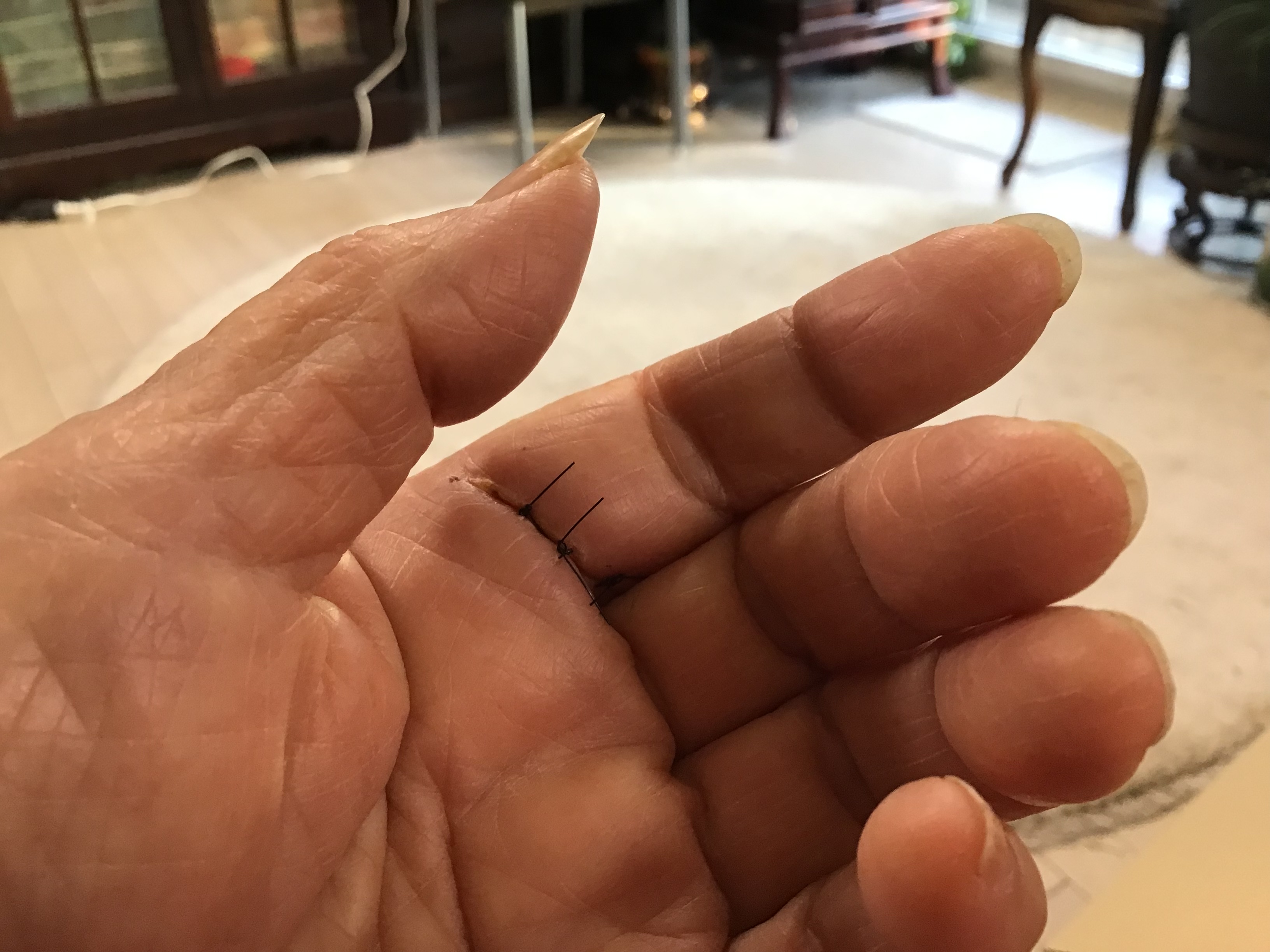 c48a3c82-2aaa-449e-ad2d-d938eacde098