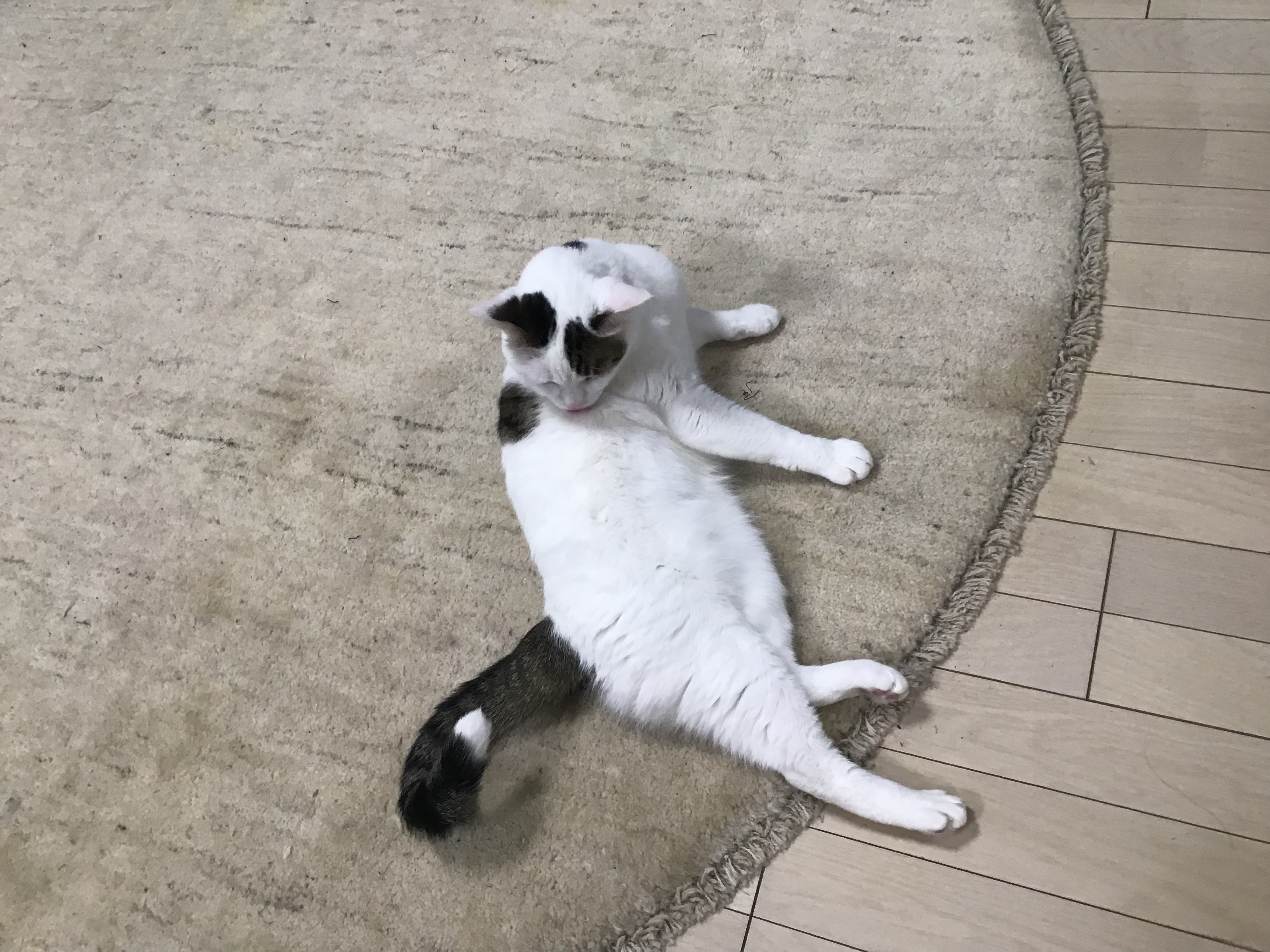 cdfbaad9-6ef9-4b42-b26f-c8a5f050cbab