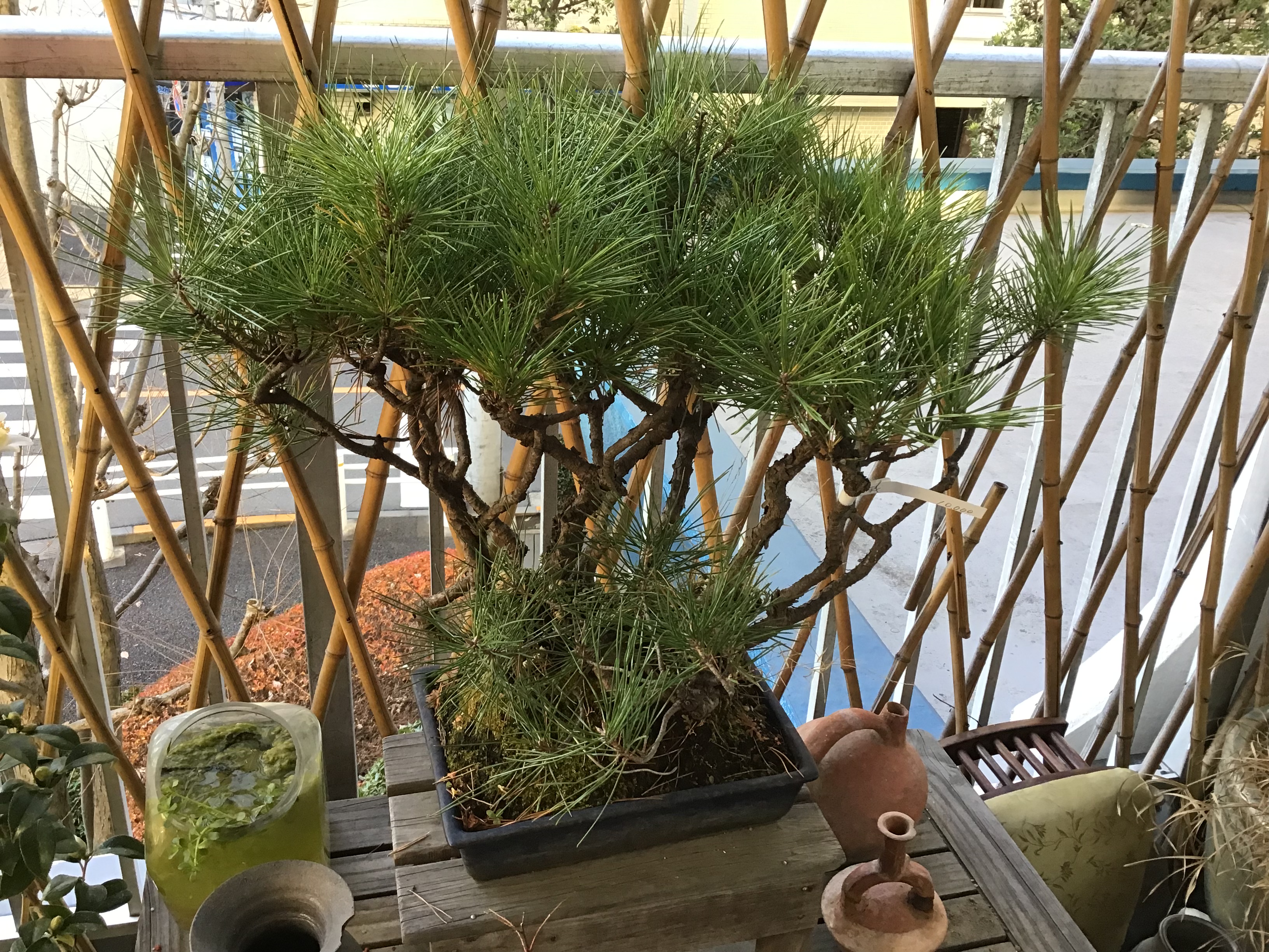 0b027eca-91c2-4c4a-8551-4819045cf7b8