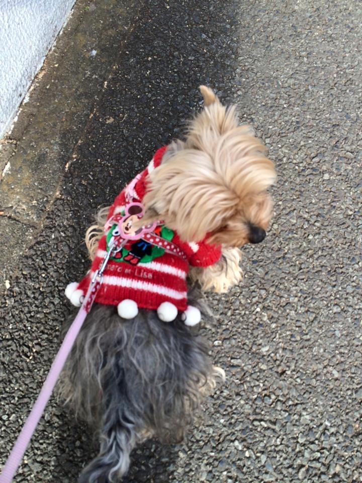 2ffb7bd4-ee61-4da9-a7f5-ca877f654985