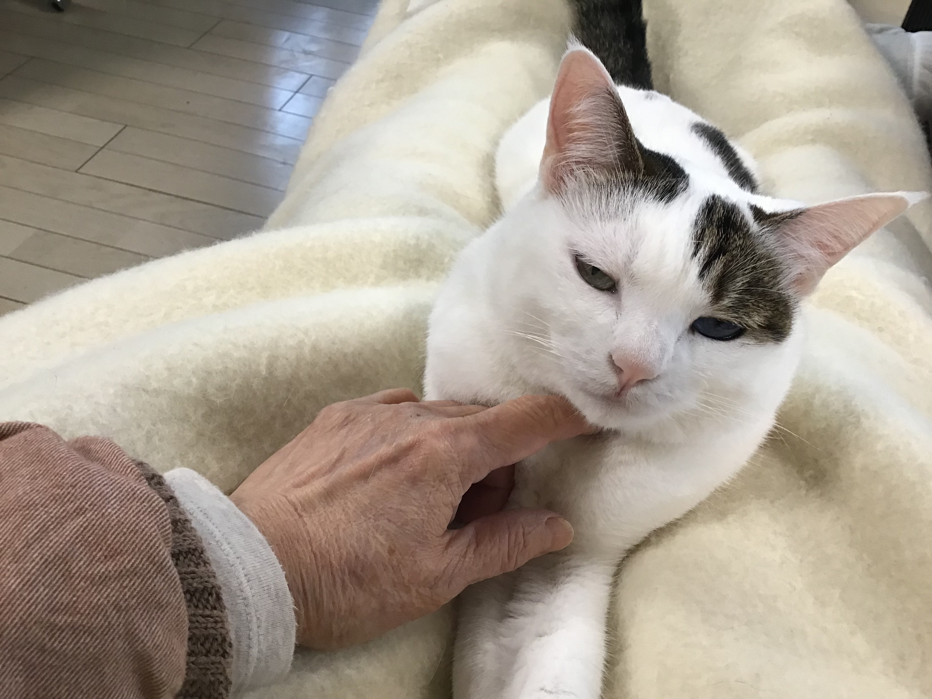 3d0b092a-e16b-4f60-9e3e-2408d200224e