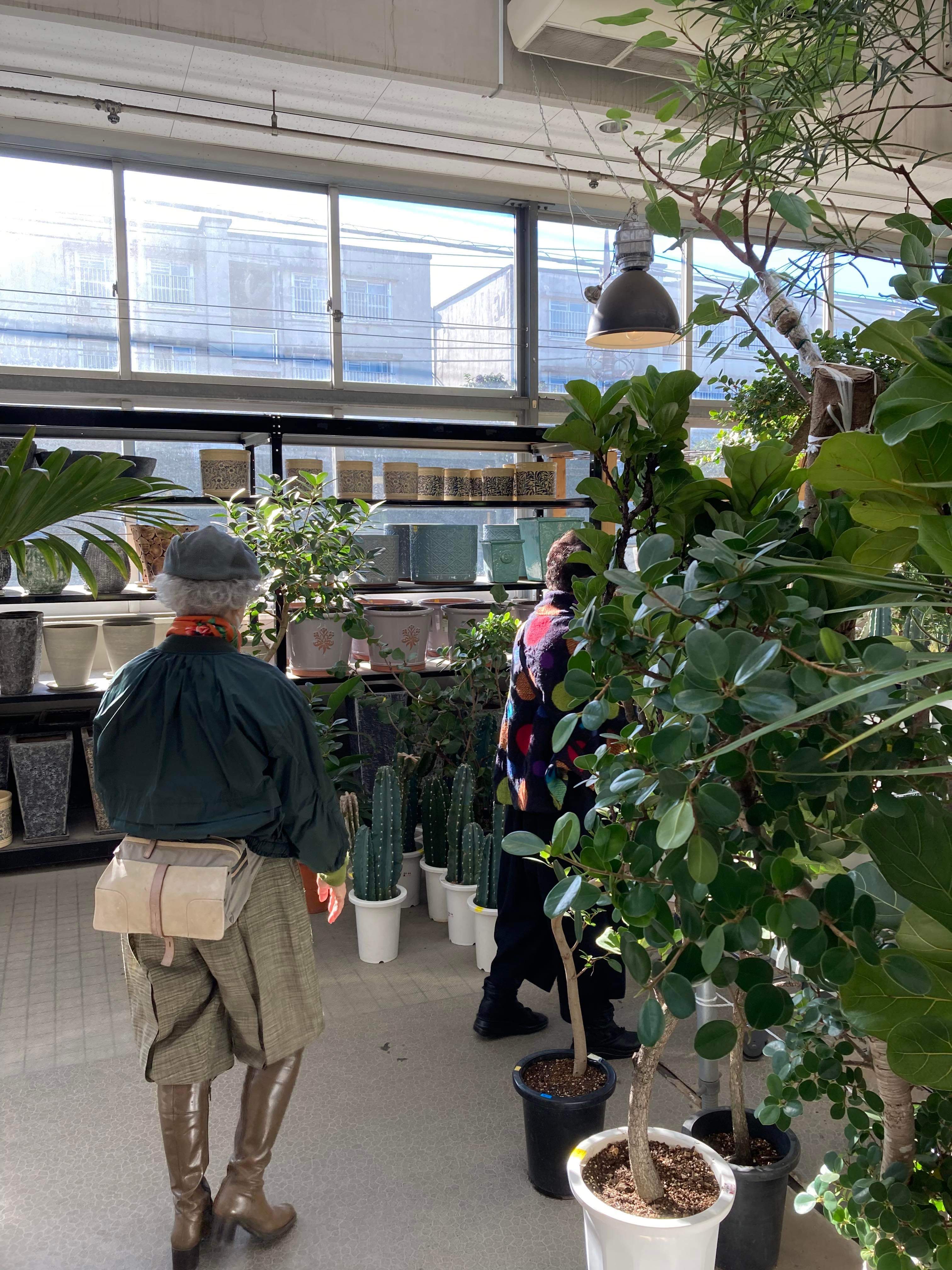 7045f836-55c7-4a4c-bb8f-006d286af073