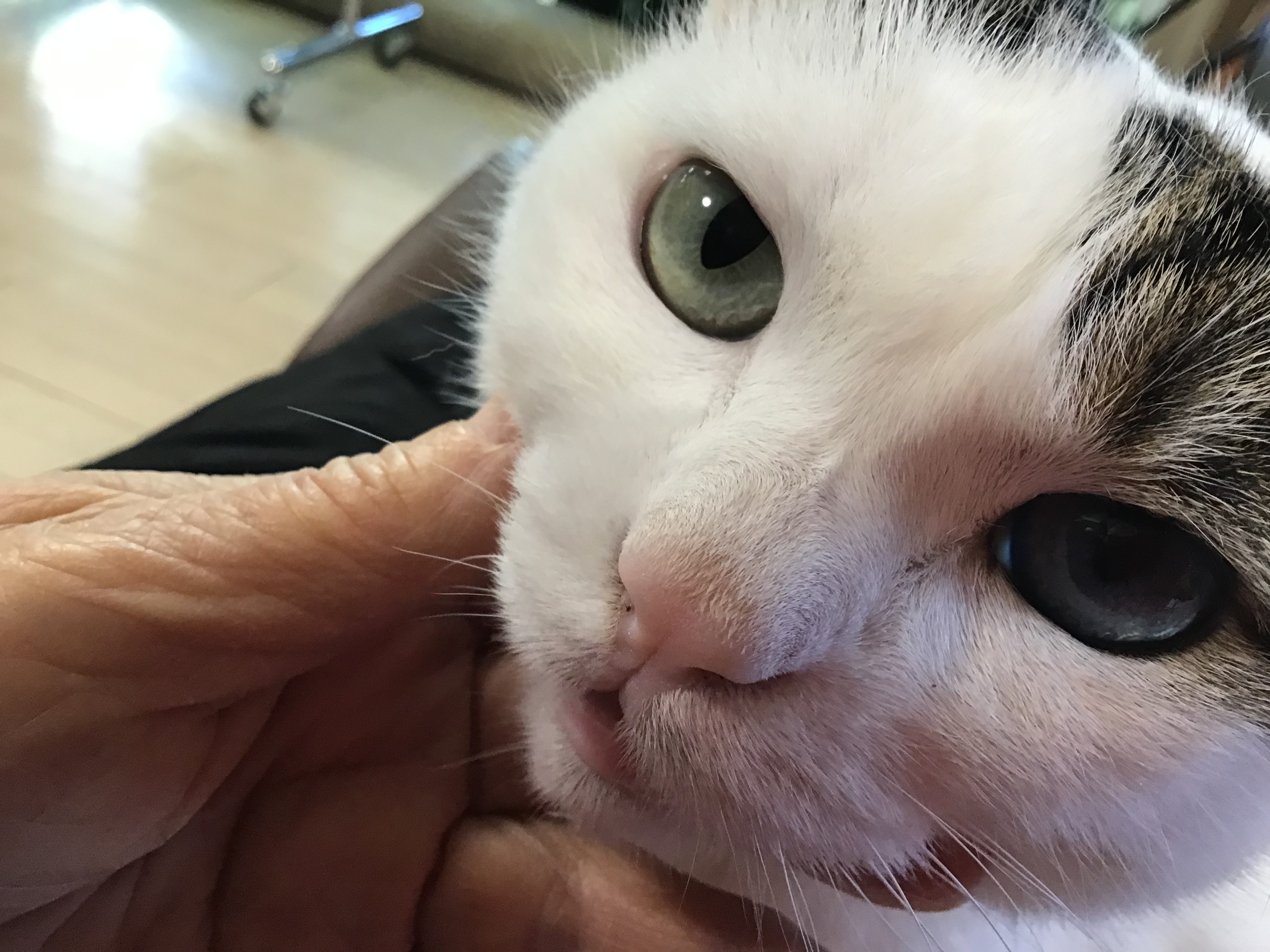 f8511f36-72ec-476e-aa24-d5cc4c8b05fa