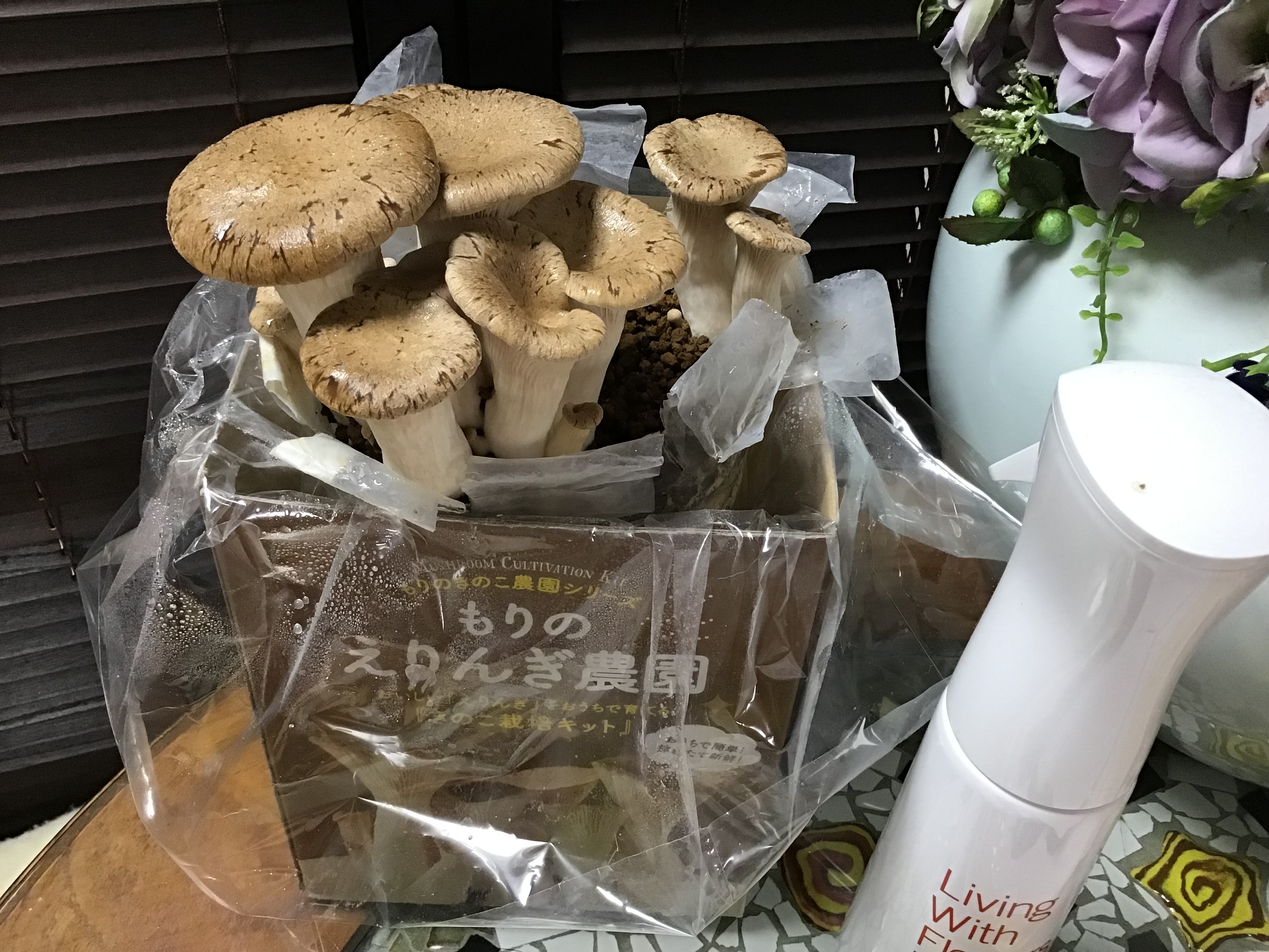 080efe9c-2d13-40bf-aca8-428c7ae3cf23