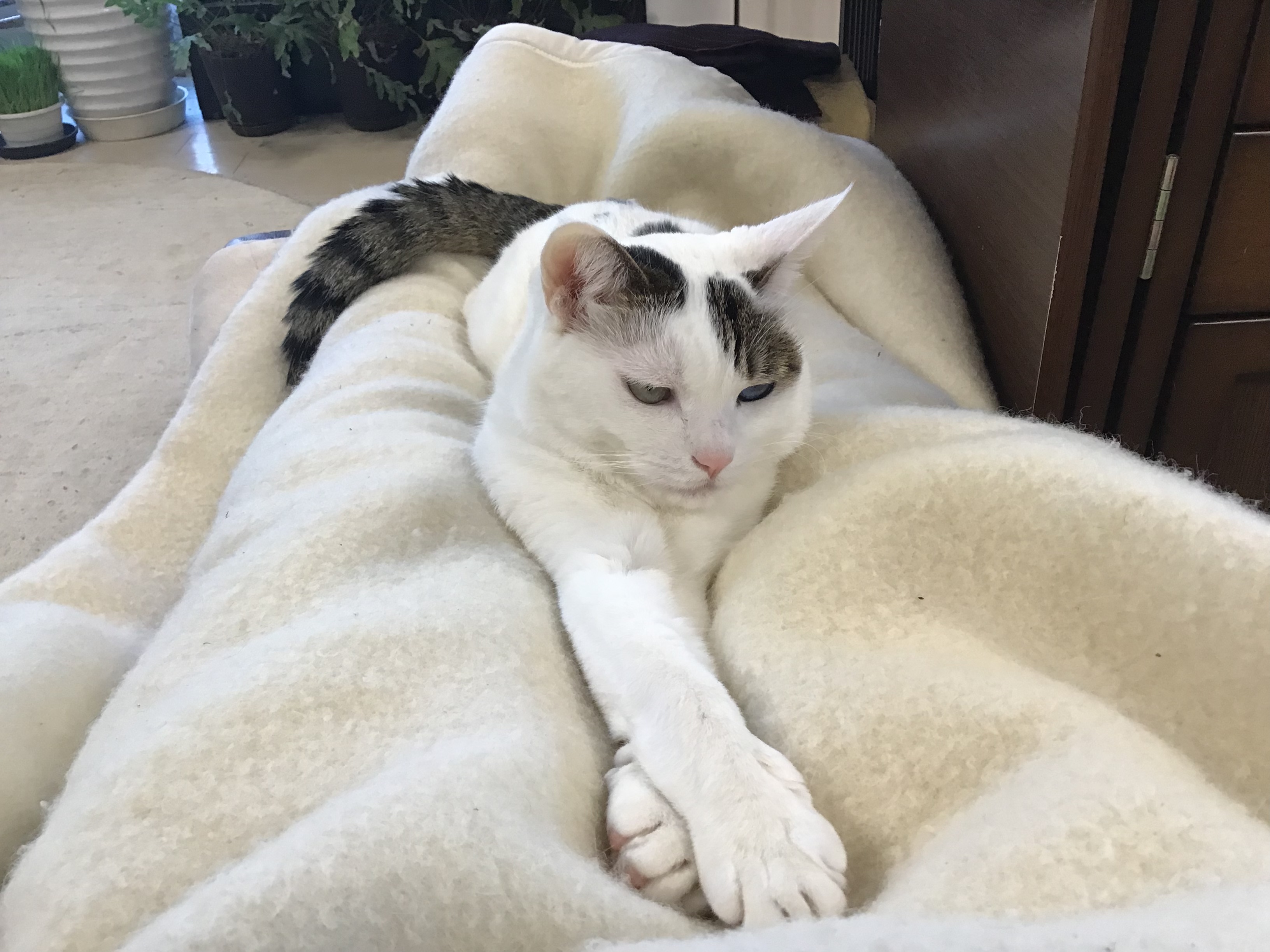 d49d0bd5-bbc6-4c47-8023-352016f6c6d4