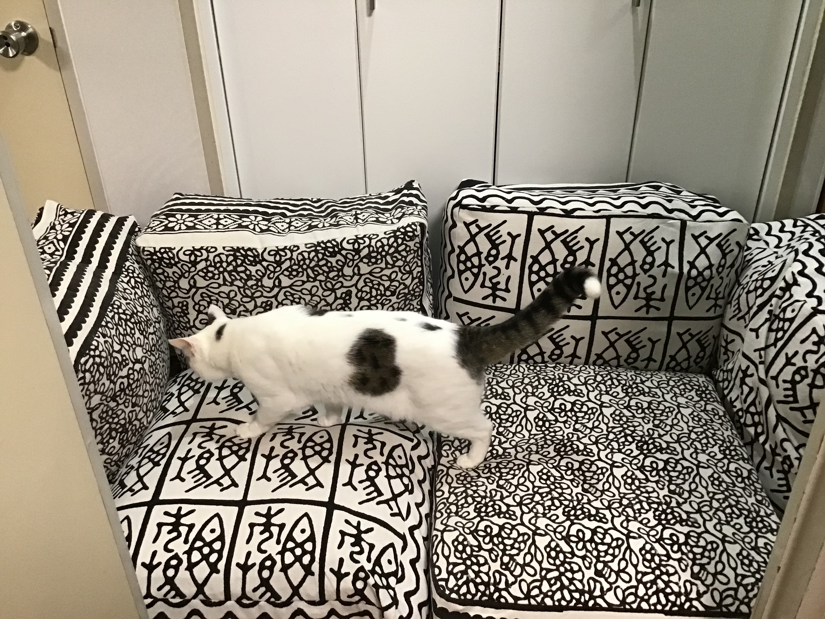 ed680000-47a2-43a5-a9e2-12a4b3a312ff