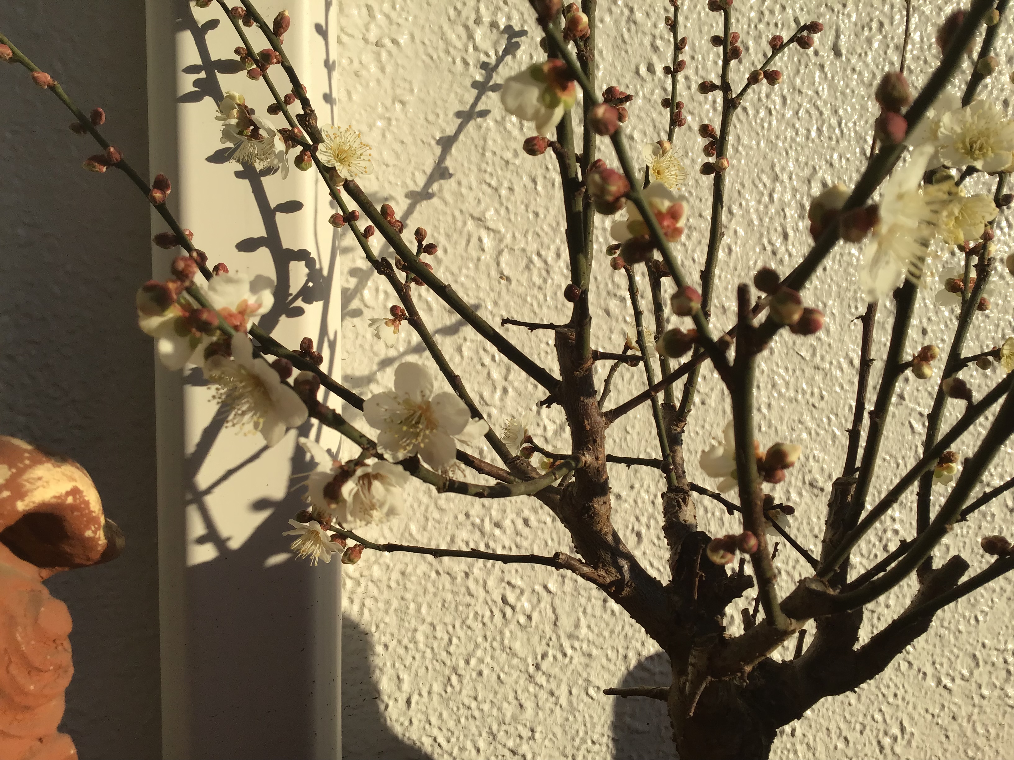 f7ba1d67-b530-4543-b144-247d1d5db616